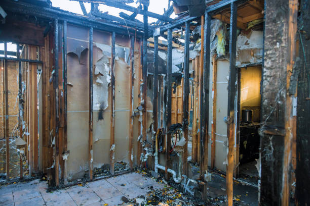 Professional Fire Damage Repair technician working in Lutherville Timonium, MD